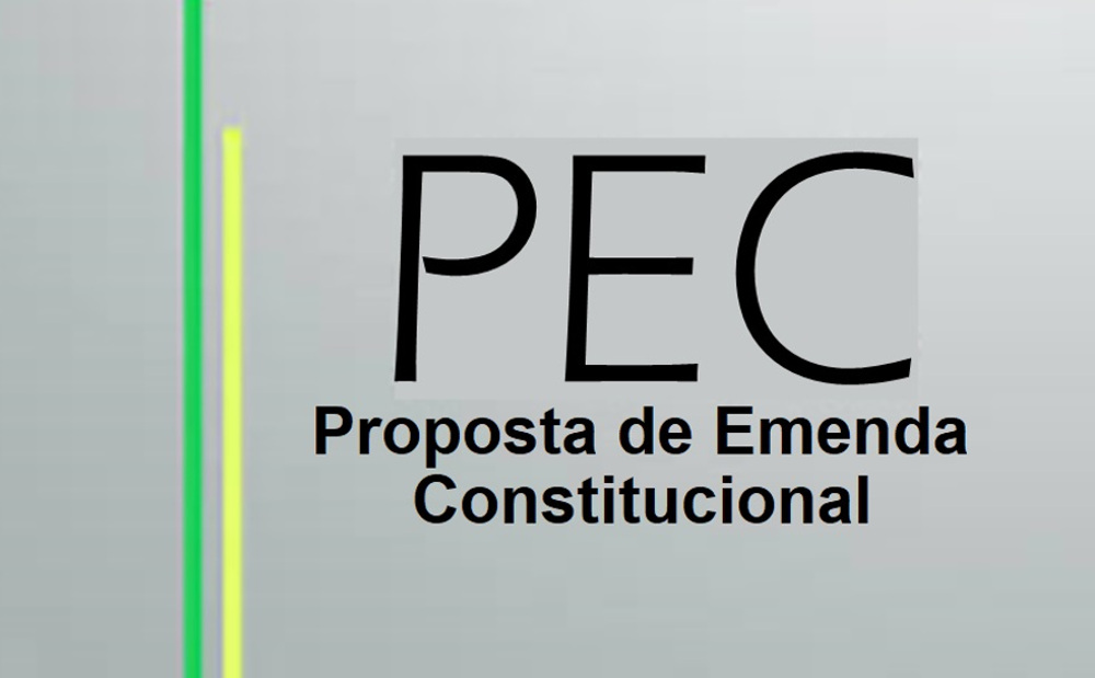 PEC DE BOLSONARO E GUEDES DESOBRIGA PODER PÚBLICO DE CONSTRUIR ESCOLAS img