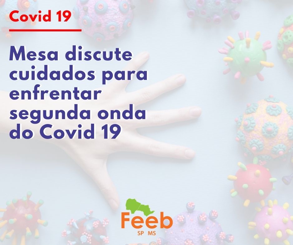 MESA DISCUTE CUIDADOS PARA ENFRENTAR SEGUNDA ONDA DO COVID 19 img